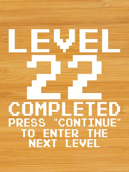 Level 22 Pixel Retro Completed