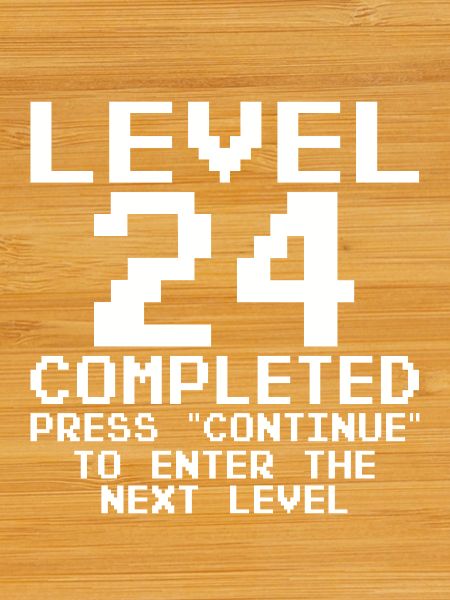 Level 24 Completed – Pixel Retro