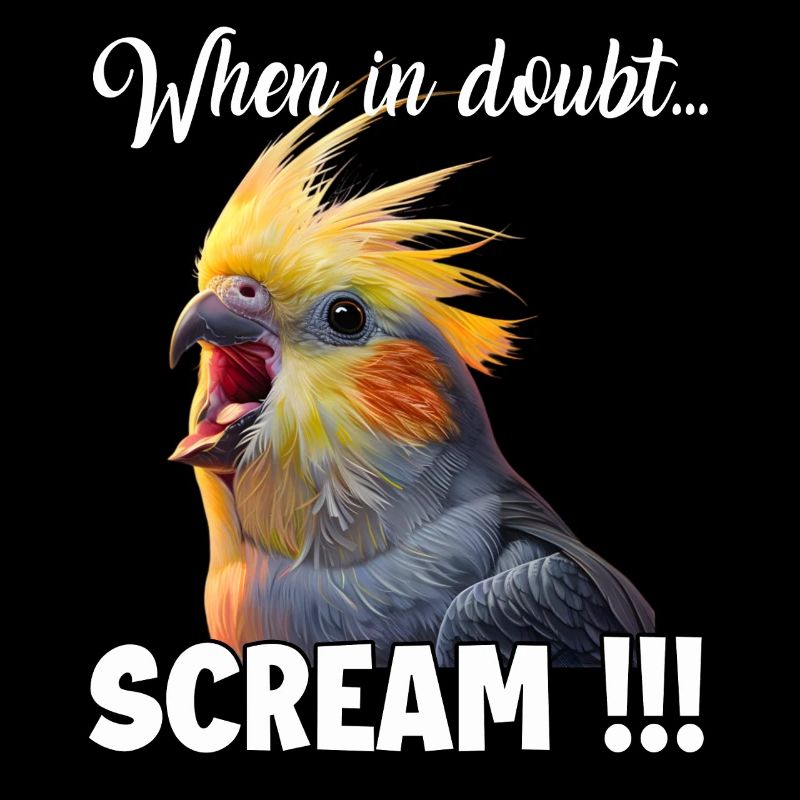 Drôle de T de calopsitte, mème de l’oiseau hurlant