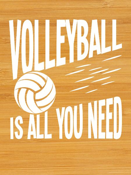 Volleyball is all you need