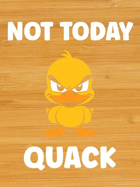 Not Today Quack Feisty Duck