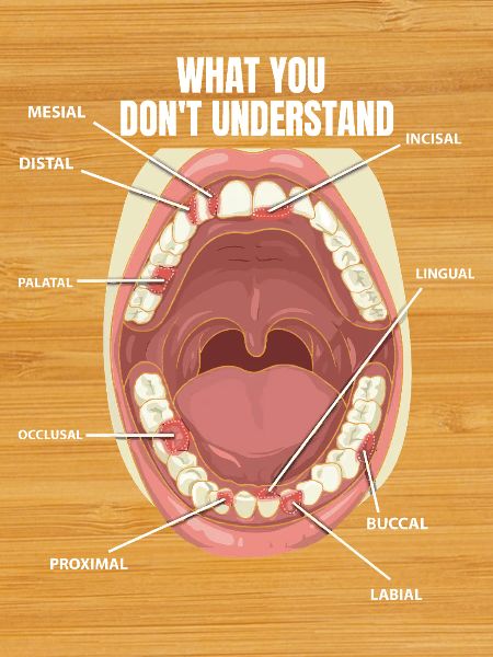 Teeth Surfaces Dental Assistant Dentist