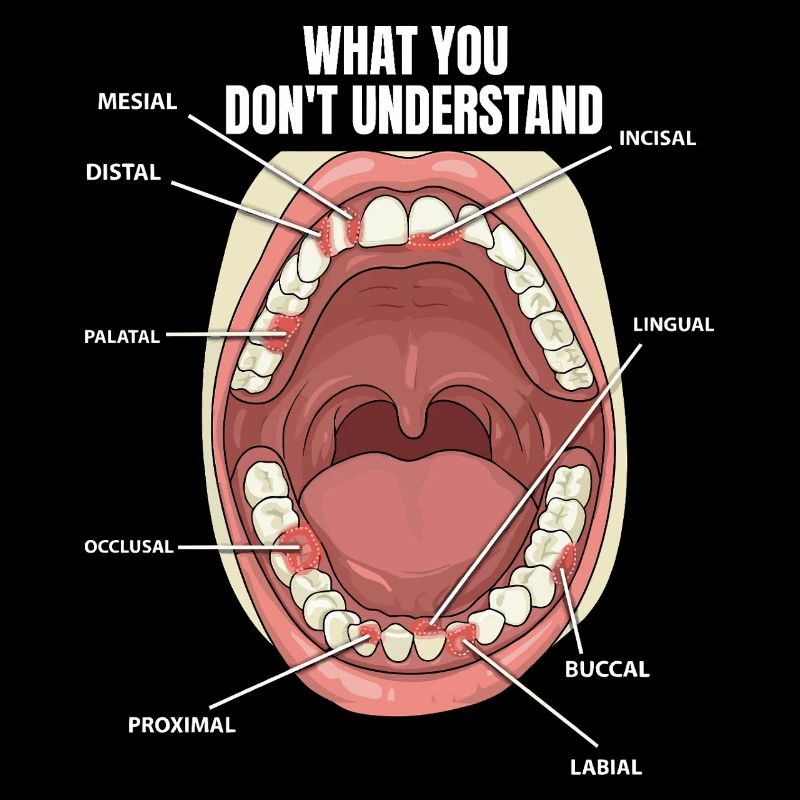 Teeth Surfaces Dental Assistant Dentist