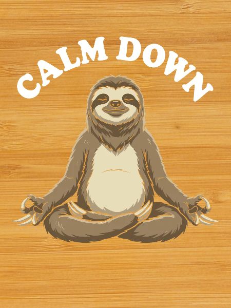 Silent Sloth Meditation Moment