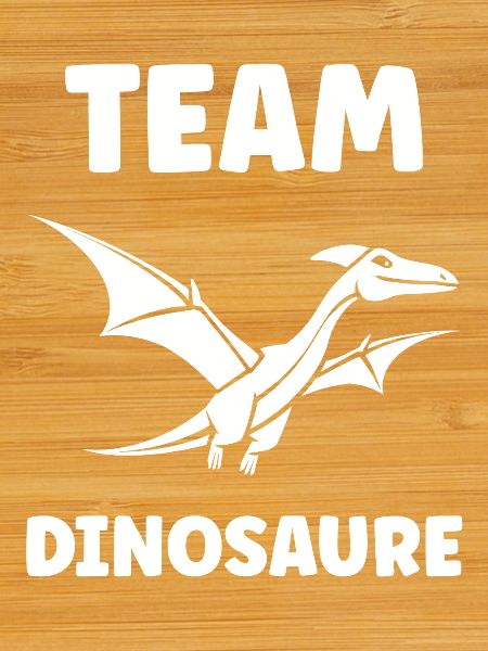 Flying Dinosaur Team