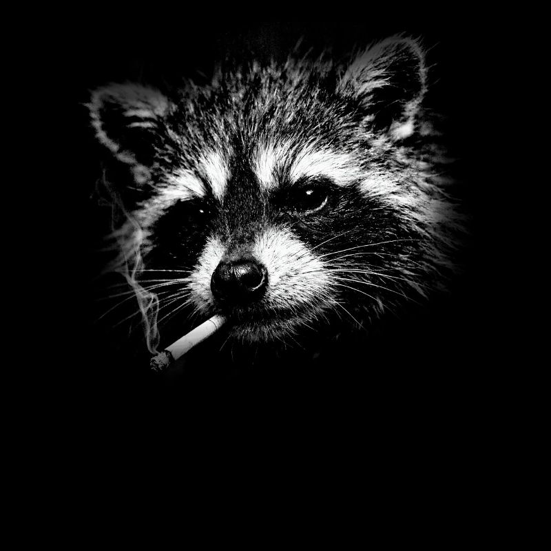 Rauchen, Zigarette, Waschbär raucht eine Zigarette