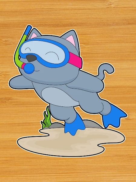 Cat Diver Snorkel Diving