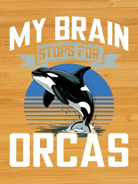 Funny Orca
