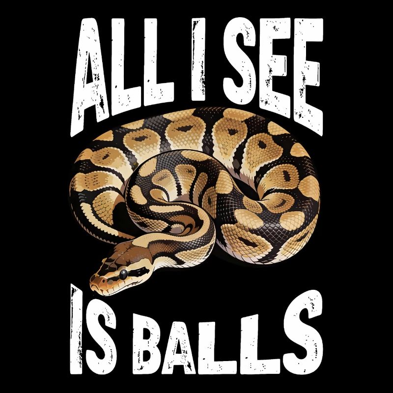 Königspython Schlangen Liebhaber Terrarium Python