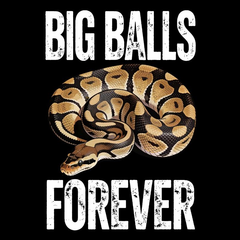 King Python Snakes Lover Terrarium Python
