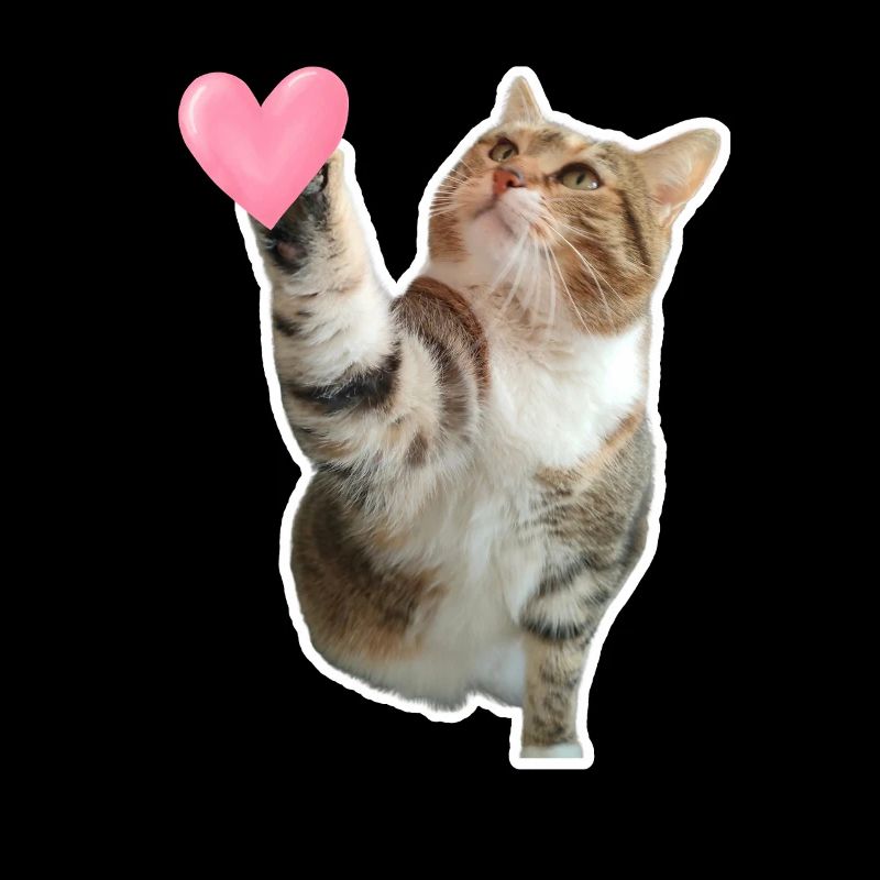 Missty prüfe ein Herz