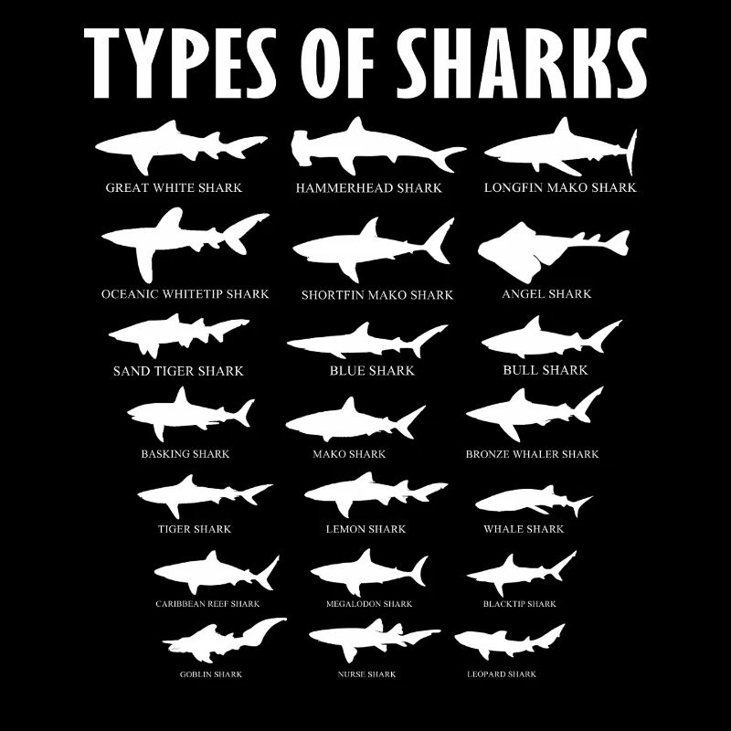 Types de conception de la vie marine océanique des requins