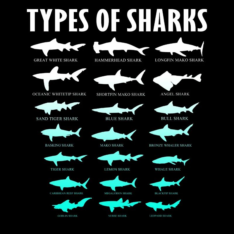 Types de requins Conception des requins d’océan | Chemise de requin