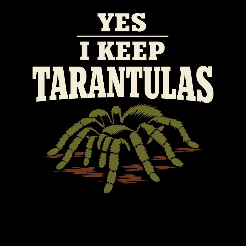 Propriétaire d’araignée Propriétaire de la Tarentule