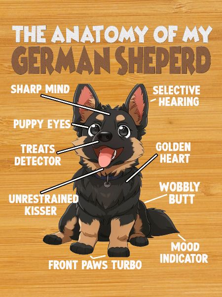 German Shepherd Dog Dog