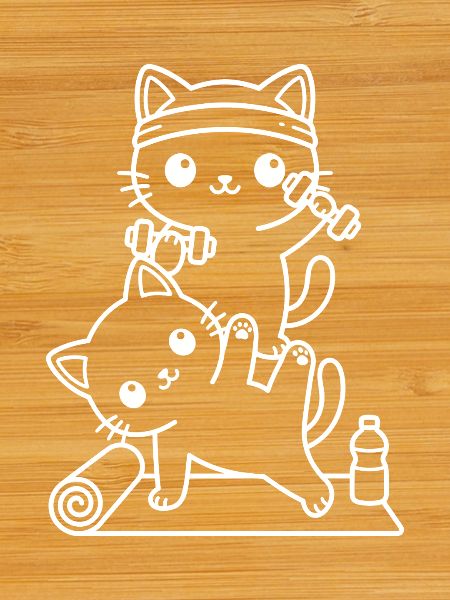 Kawaii cats training