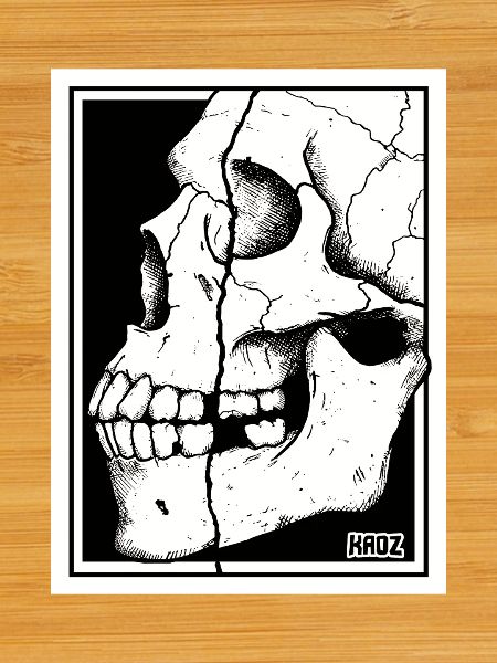 Broken Skull Portrait
