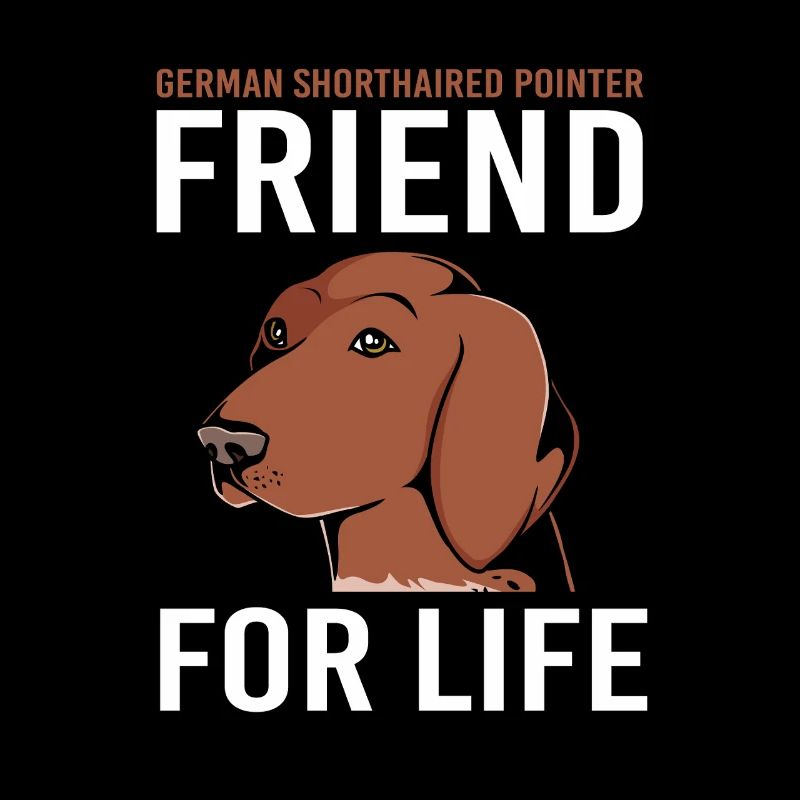 German Pointer Dog German Shorthair