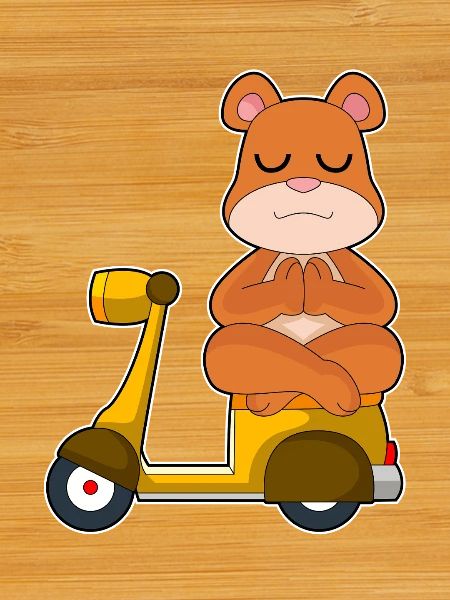 Bär Scooter