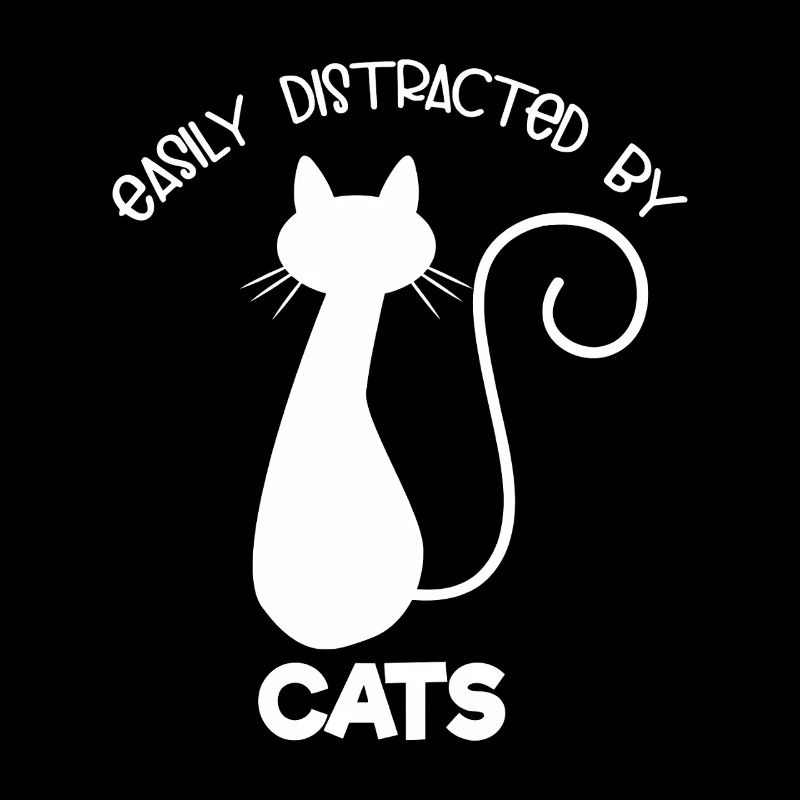 Facilement distrait par les chats