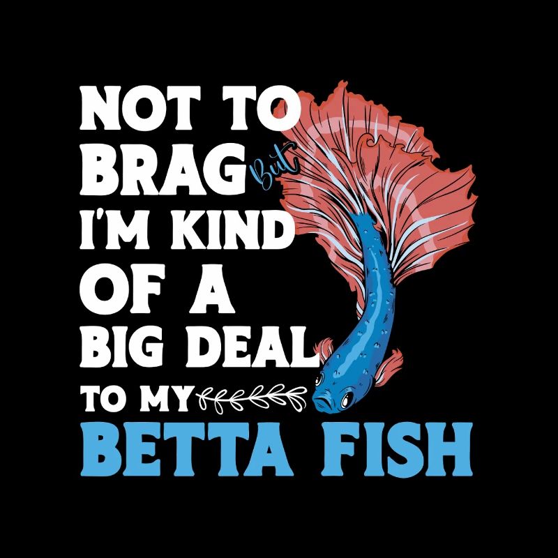 Betta du propriétaire d’aquarium siamois de combat