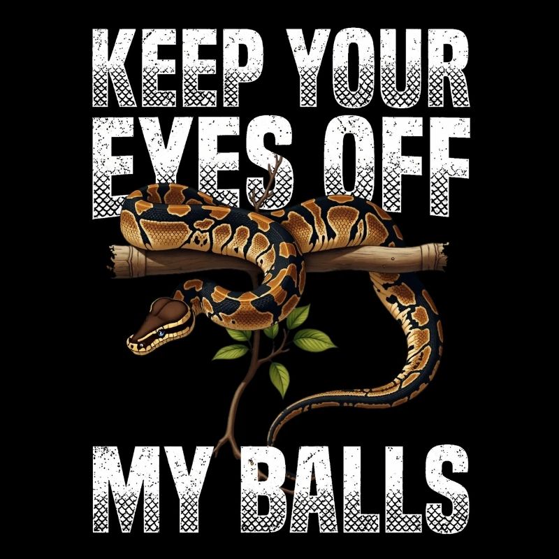 Königspython Schlangen Liebhaber Terrarium Python