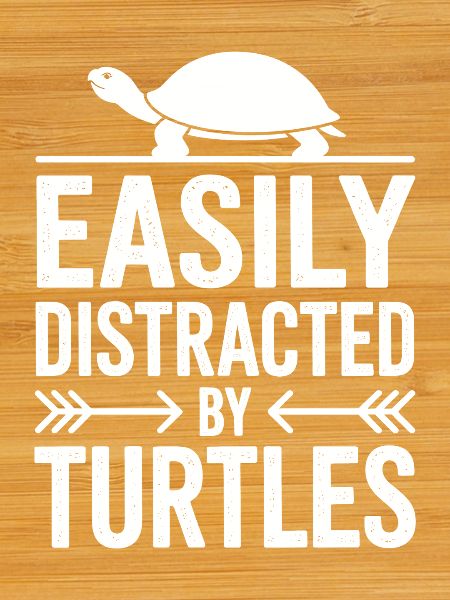 Turtle Sayings Funny Turtles Gift