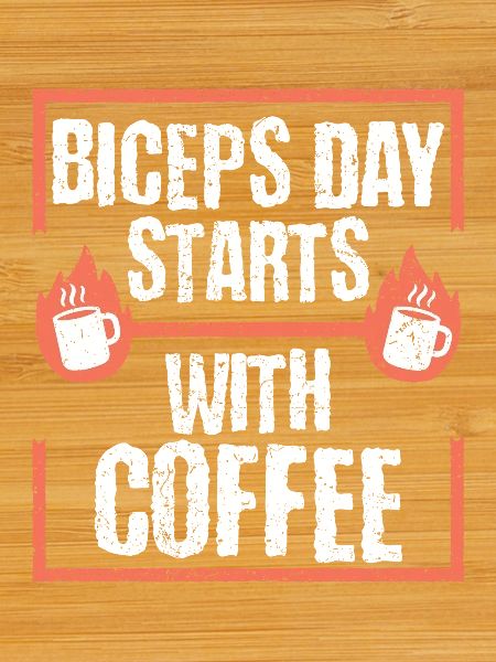 Biceps Bicep Training Bodybuilder Gym