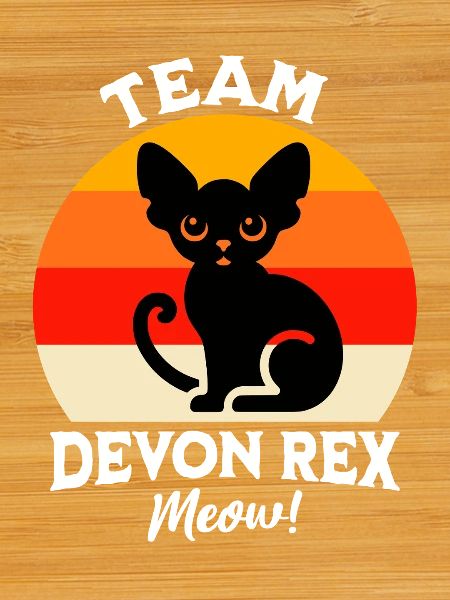 Team Devon Rex