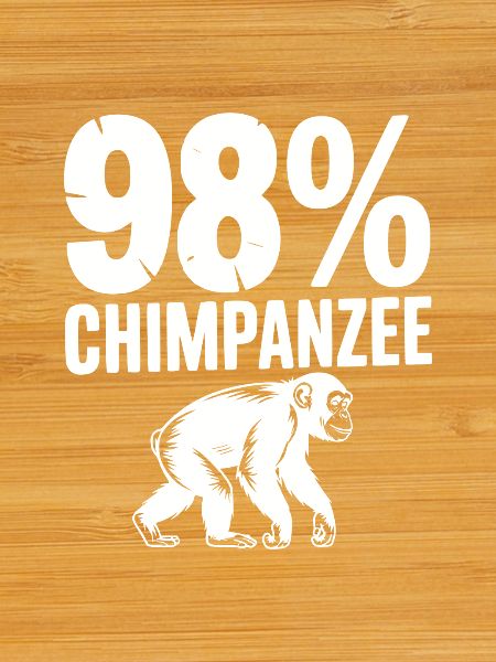 98 % Schimpansen