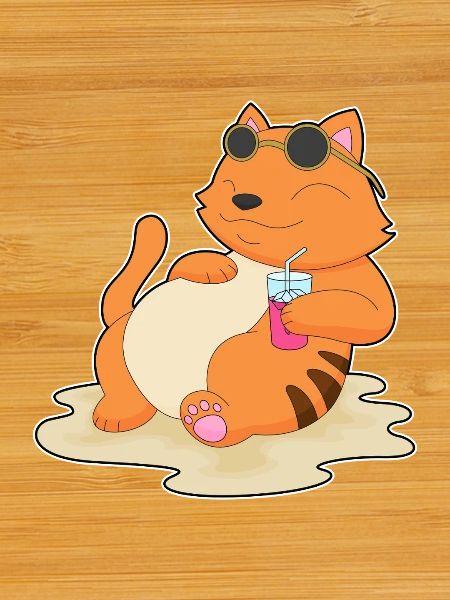 Cat Beach Drink Summer