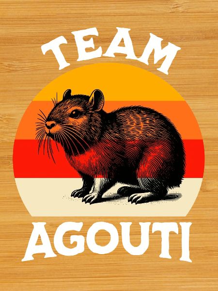 Équipe Aguti