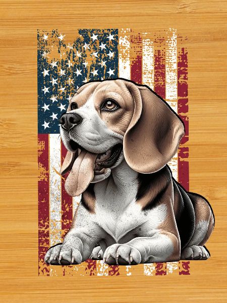 Beagle US Beagle