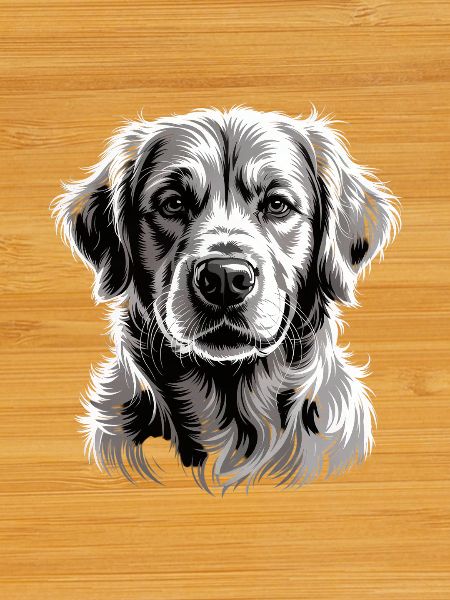 Labrador