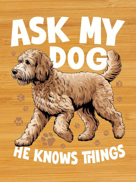 Goldendoodle Dog Breed