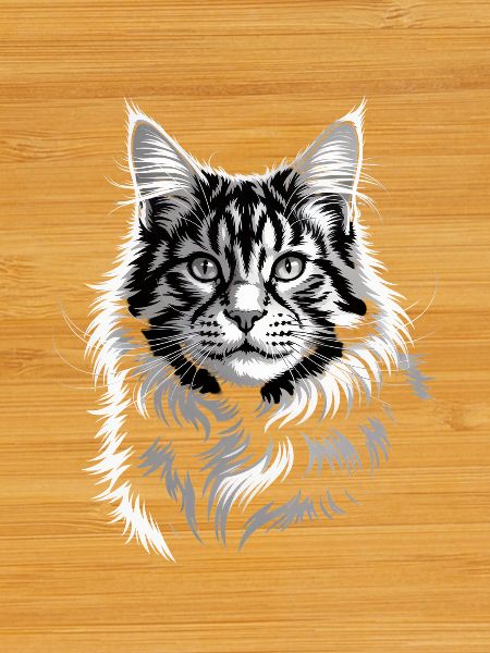 Maine Coon