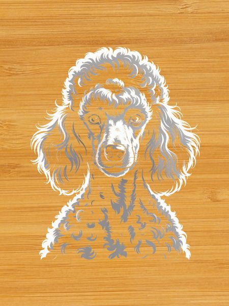 Poodle