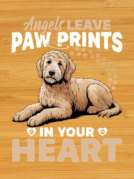 Race de chien Goldendoodle