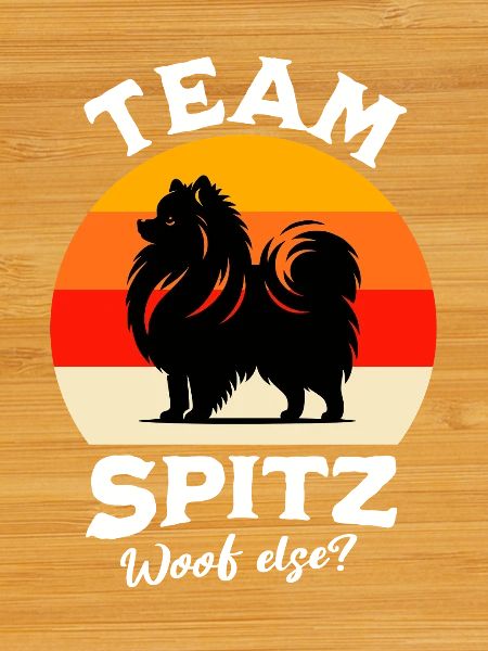 Équipe Spitz