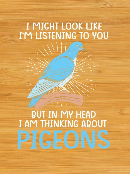 Pigeon pigeon