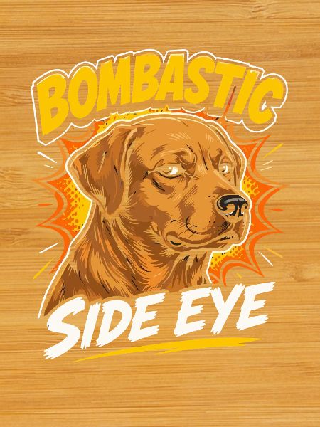 Bombastic Side Eye Dog