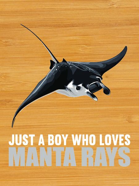Rays Manta Rays