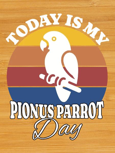 Red-rumped parrot Pionus Parrot