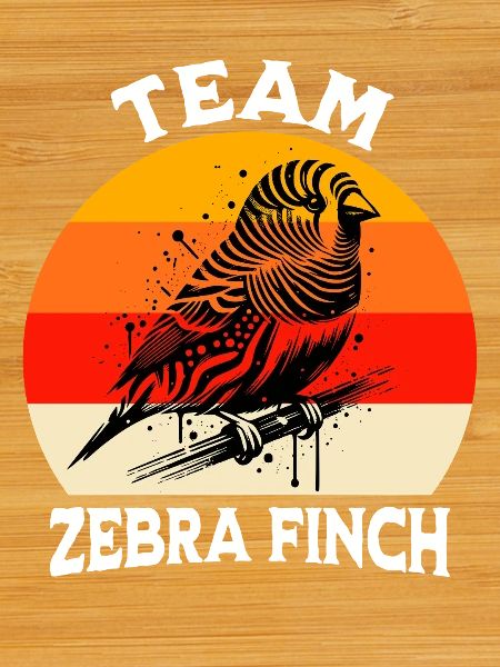 Team Zebrafinch