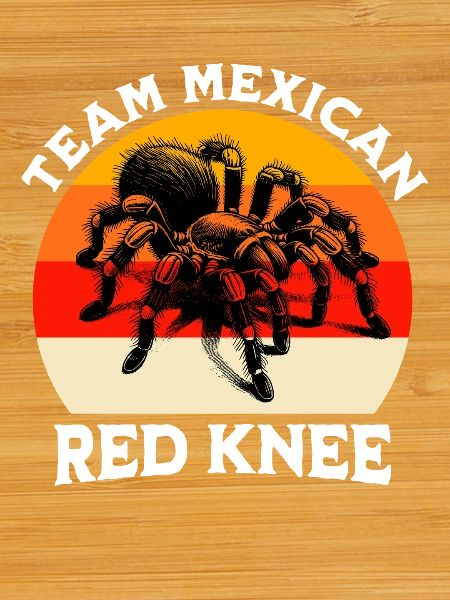Team Redknee Tarantula