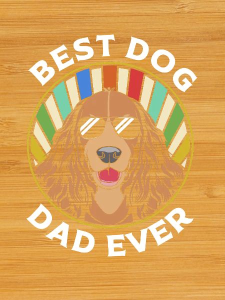 Boykin Spaniel