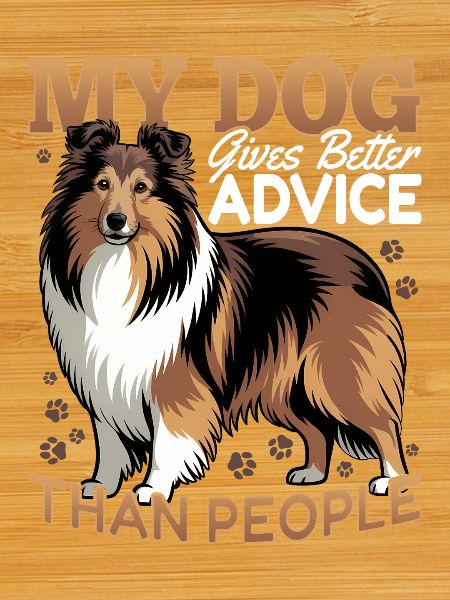 Chien Shetland Sheltie Race