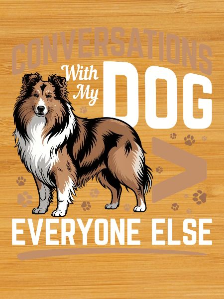 Shetland Sheepdog Sheltie Dog Breed