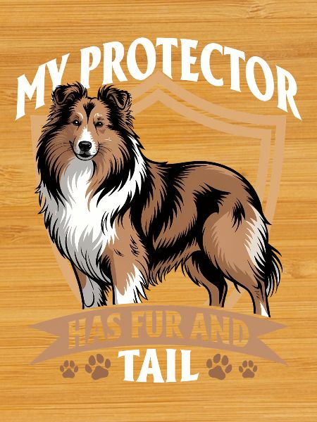 Chien Shetland Sheltie Race