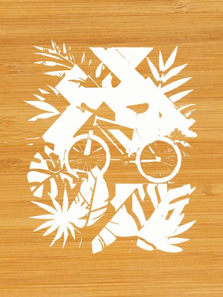 Graphismes de VTT